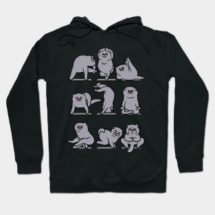 Scottish Fold Yoga Hoodie